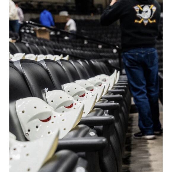 Anaheim Ducks Wild Wing Goalie Mask | NHL Mascot 2025 SGA | Collectible NEW - Picture 4 of 8